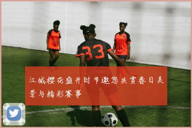 江城樱花盛开时节邀您共赏春日美景与精彩赛事