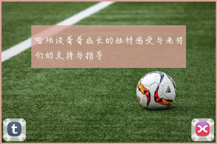 哈珀谈哥哥成长的独特感受与老将们的支持与指导