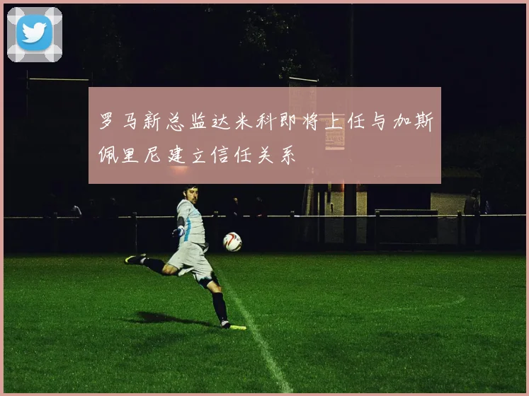 罗马新总监达米科即将上任与加斯佩里尼建立信任关系